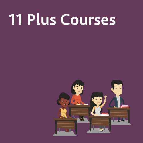 11 Plus Courses