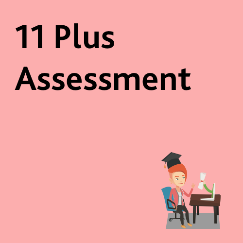 11 plus assessment